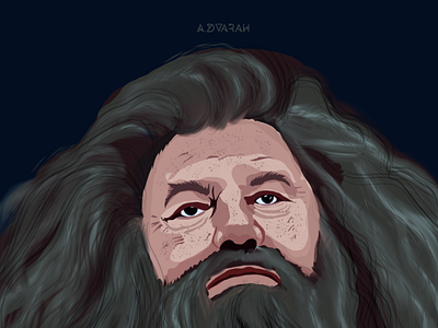 Rubeus Hagrid - Harry Potter character art artwork hagrid harry potter hogwarts illustration wizard