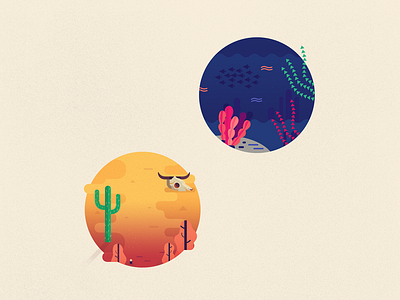 Album Art designs, themes, templates and downloadable graphic elements on  Dribbble