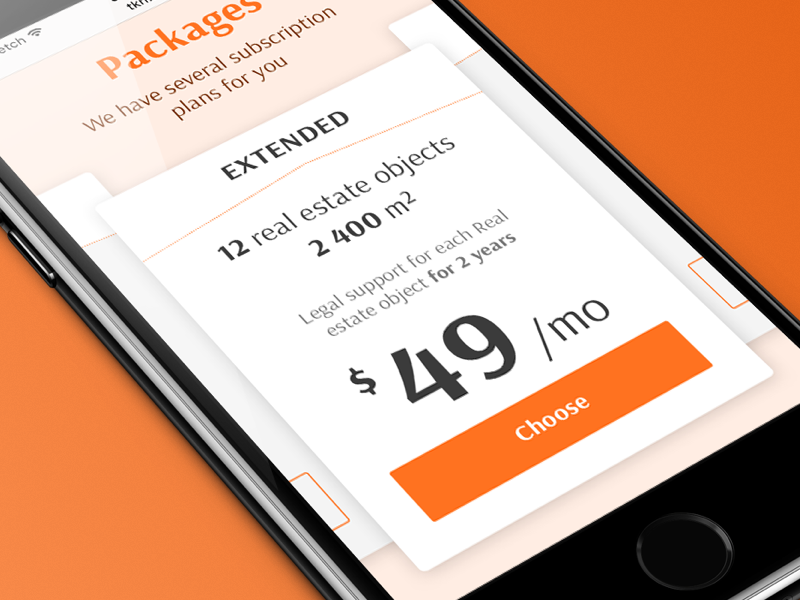 TKN consulting payment offer plane subscription price pricing package design web mobile responsive