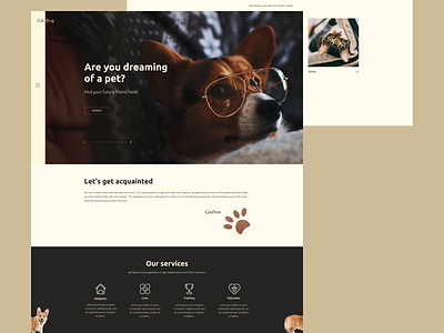 Website for animal shelter 🐾 concept design figma logo site ui ux web design website