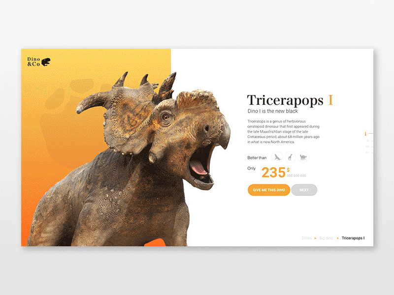 Dino&Co dino dinosaure interface price product sketch tidi uiux webdesign