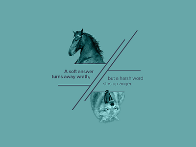 Soft Answers animal blue harsh horse layout soft typography verse wolf