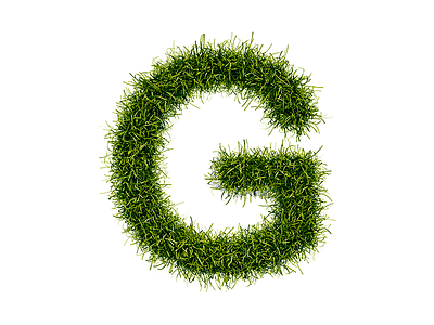 Green Perfection Mark branding grass identity logo mark natural organic typography