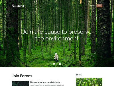 Natura Nature Website landing page web design website design