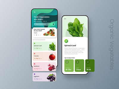 Vegetabe App app art branding design graphic design illustration logo ui ux vector