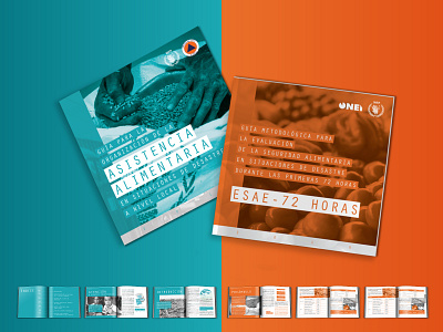 Brochure system WFP design editorial design editorial layout graphic design
