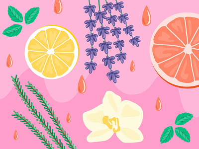 All About Essential Oils email header illustration illustration design lifestyle wellness