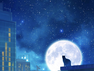 starry sky illustration scene illustrations