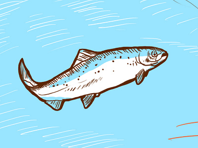 Salmon of doubt fish salmon