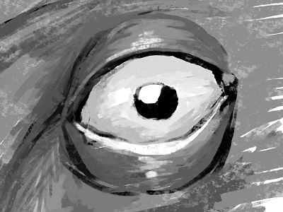 look at what you see eye sketch stare