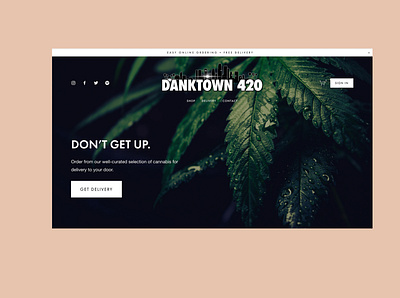 DANKTOWN 420 branding cannabis branding cannabis photography design identity logo product photography website design
