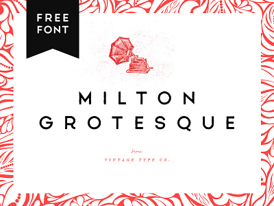 Milton Grotesque FREE Font display font fonts free geometric grotesque milton rough sans serif vintage