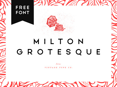 Milton Grotesque FREE Font