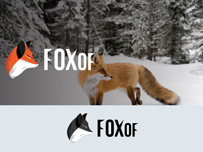 FOXOF design fox fox logo foxy logo logo design concept logodesign