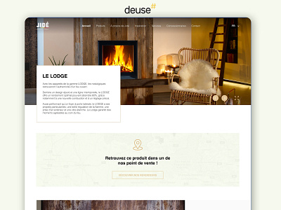Website for the sale of stoves app application design ecommerce illustration responsive vente web website
