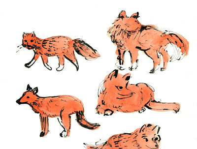 Stylized Foxes animal animals fox foxes sketch