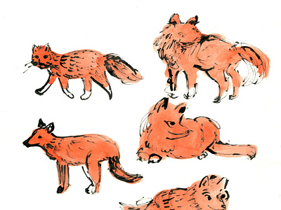 Stylized Foxes