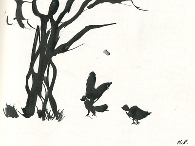 Ravens ravens sketch