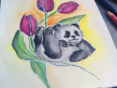 panda panda tulips