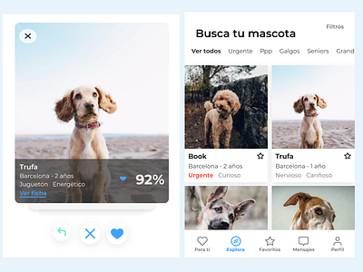 Dog adoption app app design ui ux