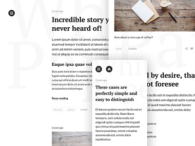 White Paper theme blog design diary tumblr typography ui ux web web design webdesign
