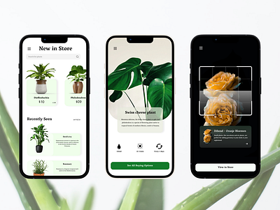 Plana is a mobile App to identify plants around you design freelance palnts plant ui ui design