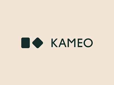 Kameo Health - Unused Concept #2