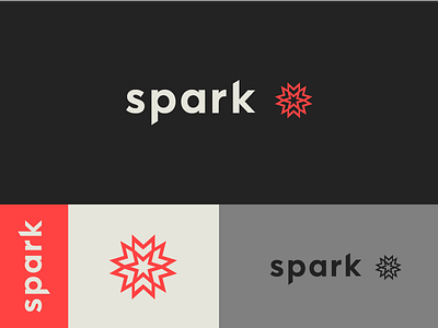 Spark Brand brand icon logo spark symbol typography