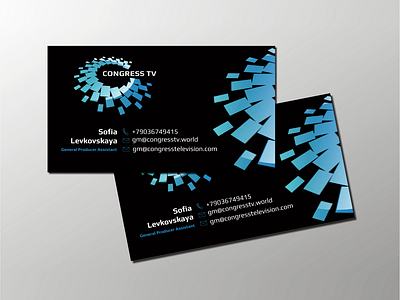 Logo and corporate identity for the TV channel