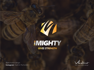 Name and logo design for a natural honey producer. brand brandbook branding business design development health logo logotype