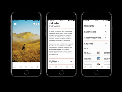 Wayfarer (Trip Detail) app e commerce mobile travel travel agency ui ui design