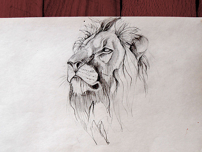 Lion sketch lion lionking roar safari sketch sketching