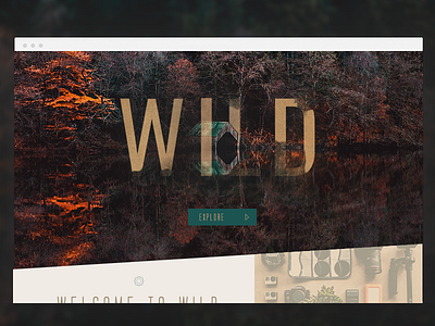 Wild Site design gear nature photography travel typography web webdesign wild