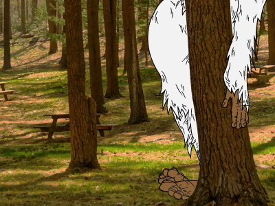 Squatch Goes Camping collage illustration pen tool photo sketch squatch vector