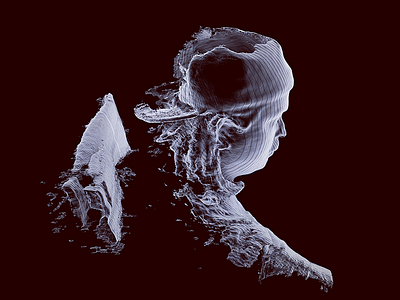 Self Portrait 3d 3dscanner 3dscanning art c4d dailyrender structuresensor topography xray