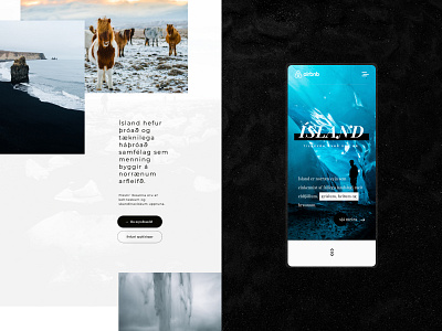 Ísland - 64°09′00″N 21°53′00″O airbnb app concept design experiment island ui ui design ux web