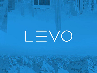 Levo branding concept graphic design product