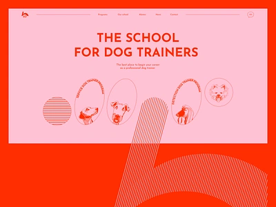 THE SCHOOL FOR DOG TRAINERS colors design dog figma typography vector web web design website