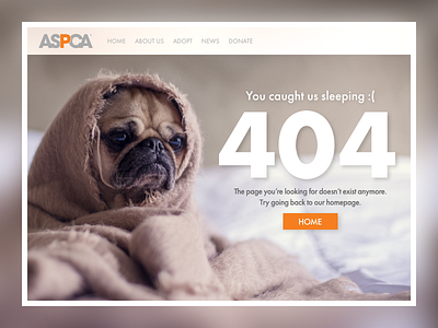 Aspca designs, themes, templates and downloadable graphic elements on Dribbble