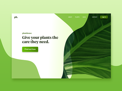 Daily UI Challenge #003 Landing page branding daily 100 dailyui icon illustration lettering onboarding plant typography ui design ux ux ui vector