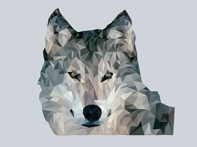 Wolf Polygon design illustrator polygon shapes triangle vector wolf