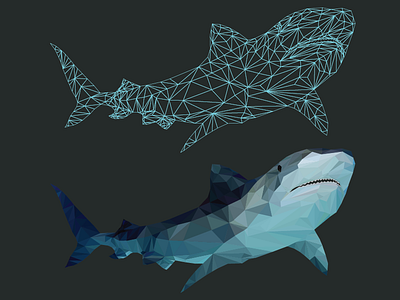 Shark blue color design lines ocean polygon shark vector