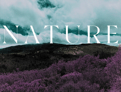 Mother Nature design graphic design poster typography