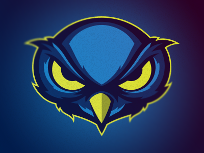 Night Owl logo sports
