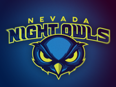 Night Owls 2 logo sports