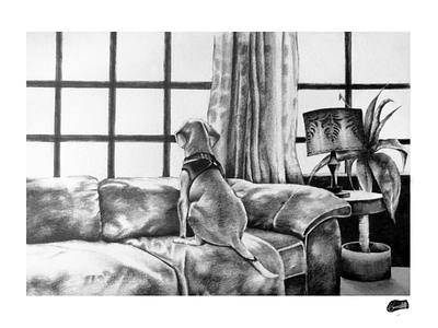 Patiently & Faithfully dogs led pencil morning vibe pencil sketching sketching sunlight