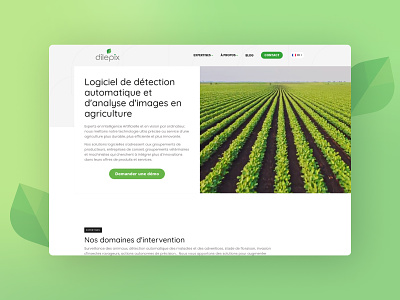 A new website for the agritech startup Dilepix branding graphic design website