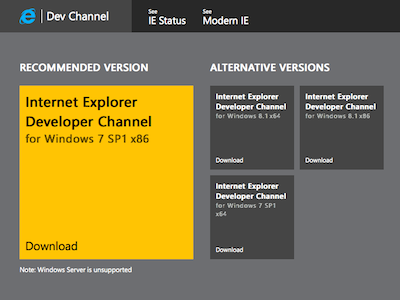 IE Dev Channel download page crop