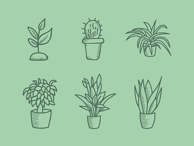 Plant icon illustrations for garden centre hand drawn icon icon set iconography illustration illustration design plant vector