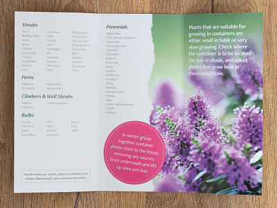 Print design for plant care leaflet layout layout design micro typography print print design print designer typesetting typography